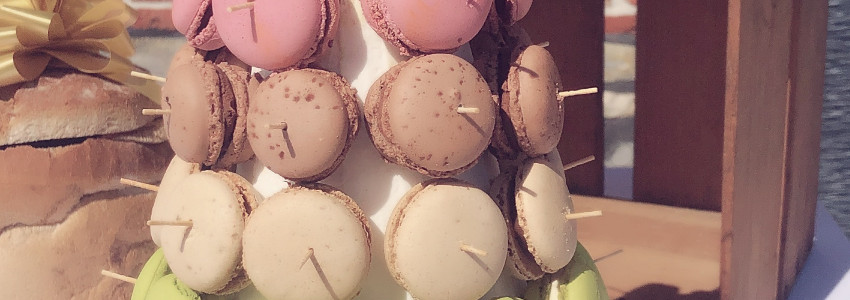 caroline macaron nouvelle collection